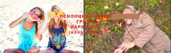 ПСИЛОЦИБИНОВЫЕ ГРИБЫ Бугульма