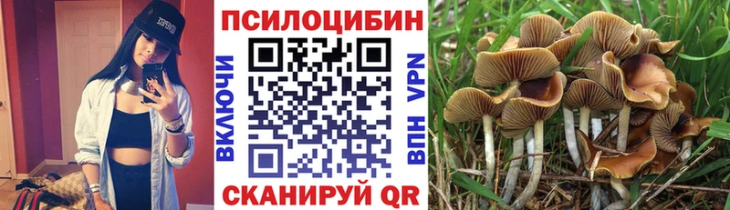 Галлюциногенные грибы MAGIC MUSHROOMS  Билибино 